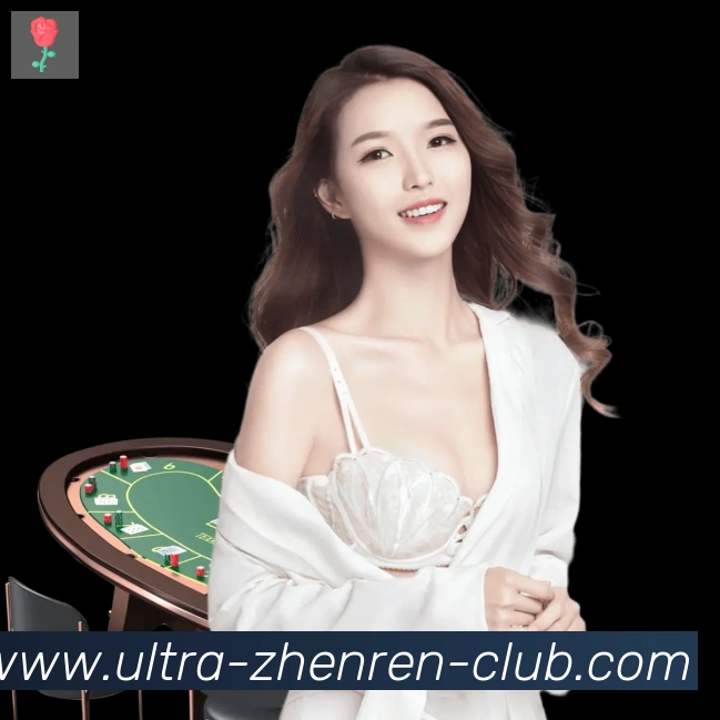 未来规划